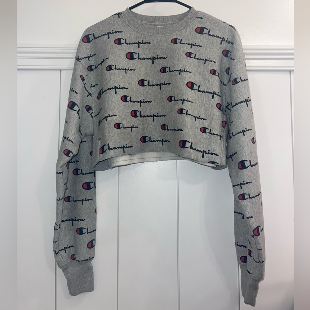 New Cropped Champion Hoodie